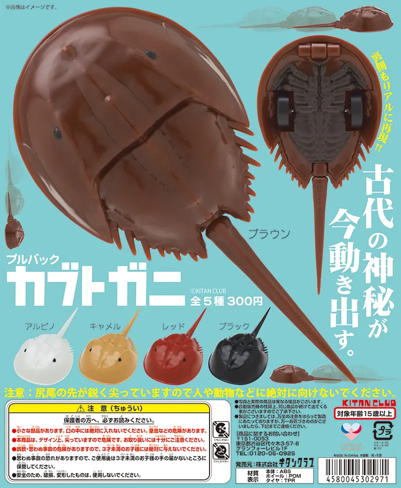 プルバックカブトガニ(画像)