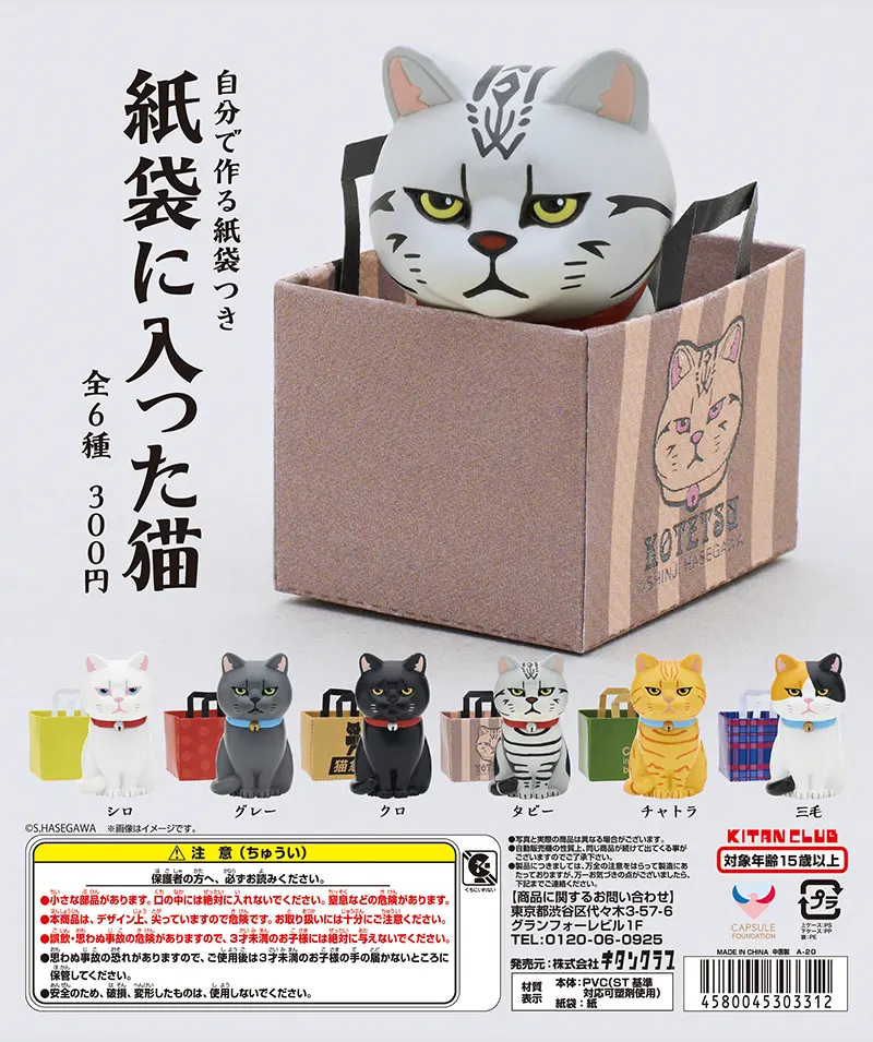 紙袋に入った猫(画像)