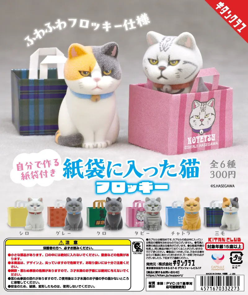 紙袋に入った猫 フロッキー(画像)
