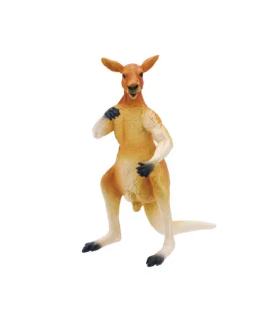 沈黙のカンガルー ラインナップ 2