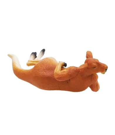 沈黙のカンガルー ラインナップ 5