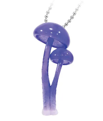 きれいなきのこ ラインナップ 7