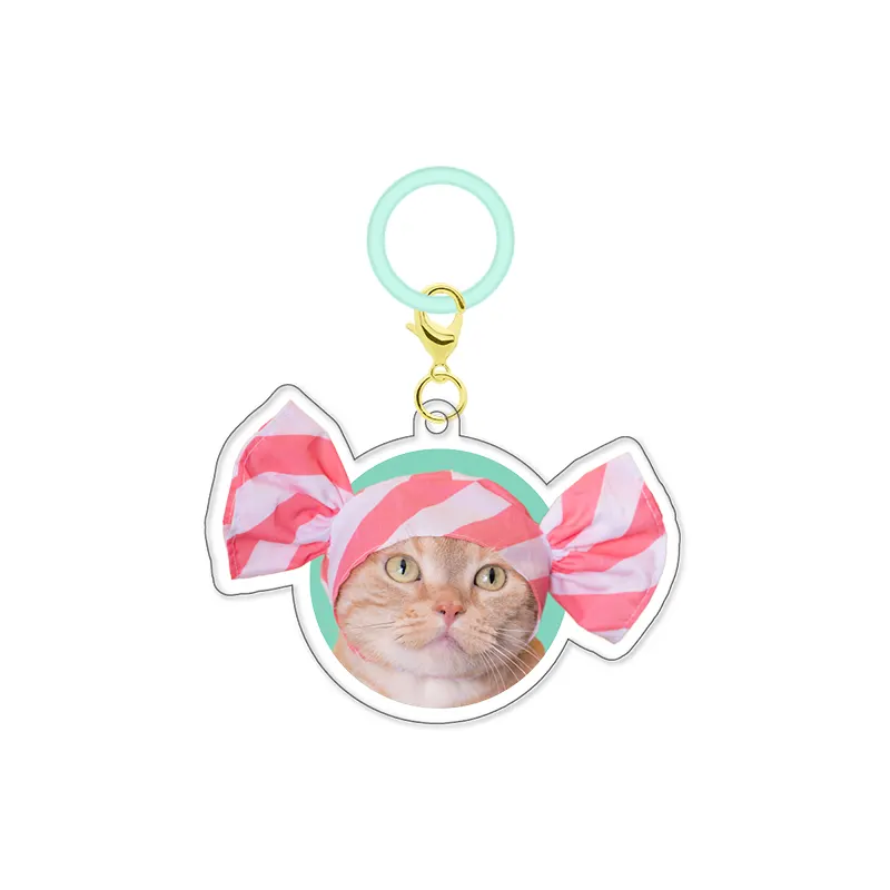 かわいい かわいい ねこのかぶりもの アクリルチャーム ラインナップ 10