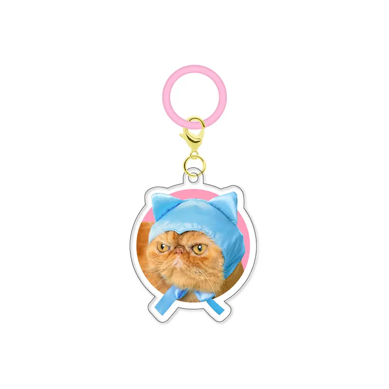 かわいい かわいい ねこのかぶりもの アクリルチャーム ラインナップ 11
