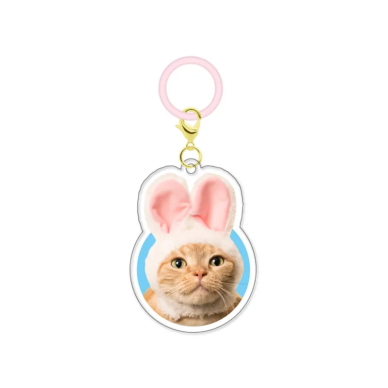 かわいい かわいい ねこのかぶりもの アクリルチャーム ラインナップ 4