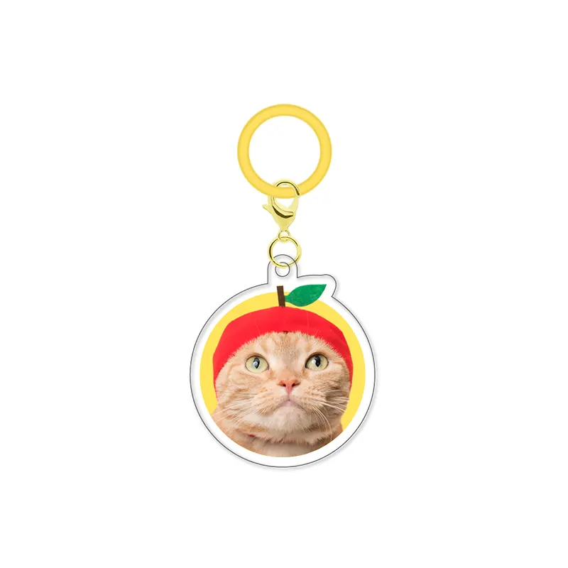 かわいい かわいい ねこのかぶりもの アクリルチャーム ラインナップ 5