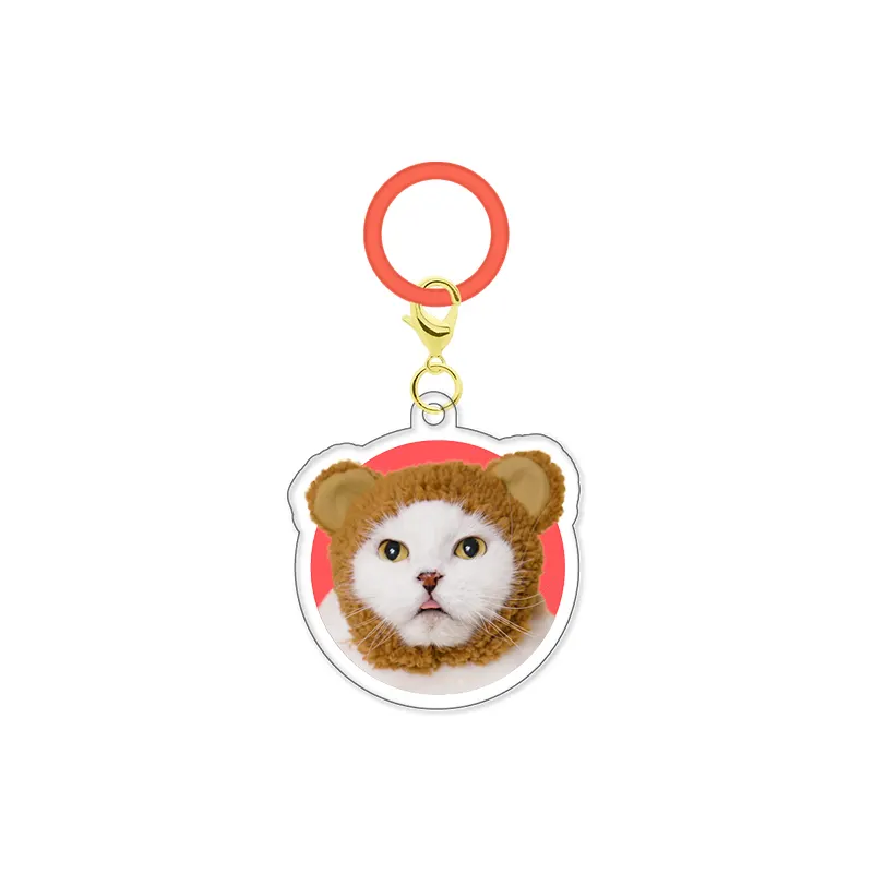 かわいい かわいい ねこのかぶりもの アクリルチャーム ラインナップ 8