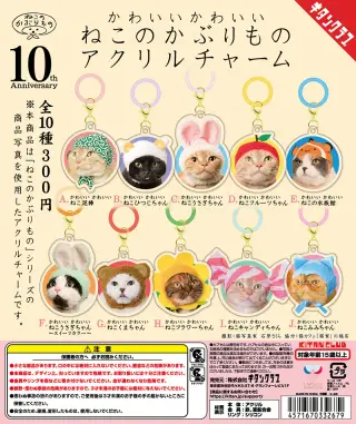 かわいい かわいい ねこのかぶりもの アクリルチャームの画像