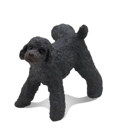 マーキング犬 ラインナップ 10