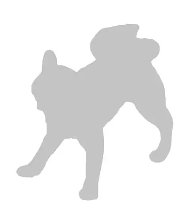マーキング犬 ラインナップ 11