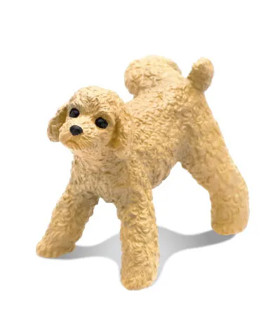 マーキング犬 ラインナップ 8