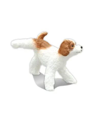 マーキング犬2 ラインナップ 6