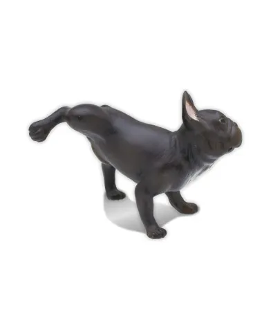 マーキング犬2 ラインナップ 9
