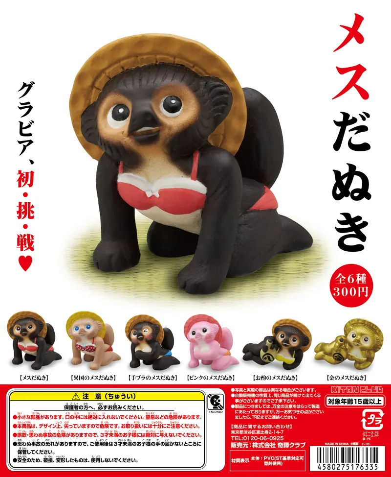 メスだぬき(画像)