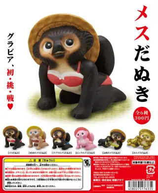 メスだぬきの画像