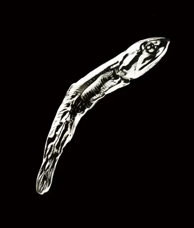 メタルナニボシ ラインナップ 5