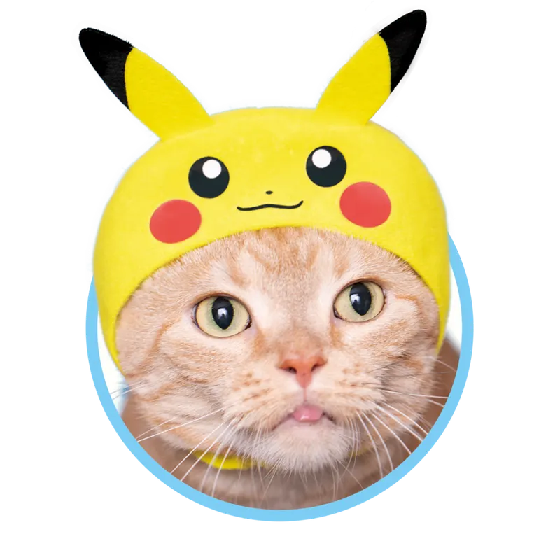かわいい かわいい ねこのかぶりもの ポケットモンスター ラインナップ 2