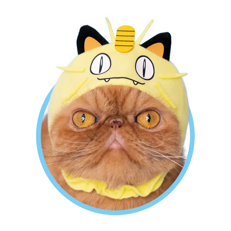 かわいい かわいい ねこのかぶりもの ポケットモンスター ラインナップ 4
