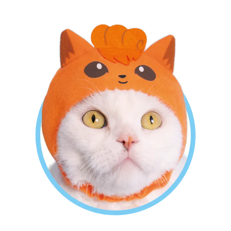 かわいい かわいい ねこのかぶりもの ポケットモンスター ラインナップ 5