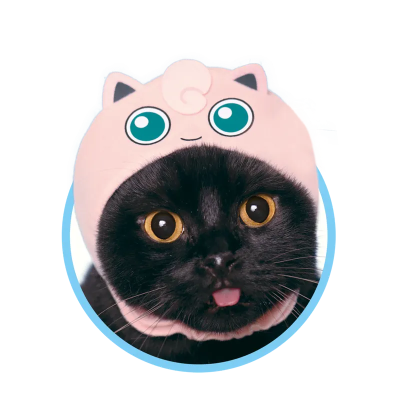 かわいい かわいい ねこのかぶりもの ポケットモンスター ラインナップ 6