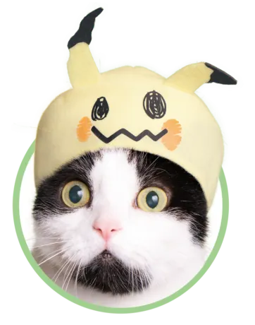 かわいい かわいい ねこのかぶりもの ポケットモンスター2 ラインナップ 2