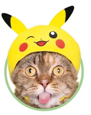 かわいい かわいい ねこのかぶりもの ポケットモンスター2 ラインナップ 3