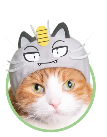 かわいい かわいい ねこのかぶりもの ポケットモンスター2 ラインナップ 5