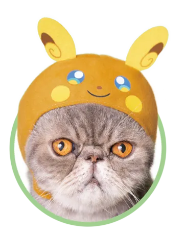 かわいい かわいい ねこのかぶりもの ポケットモンスター2 ラインナップ 6