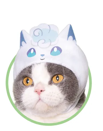 かわいい かわいい ねこのかぶりもの ポケットモンスター2 ラインナップ 7