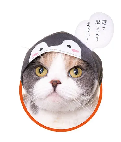 かわいい かわいい ねこのかぶりもの コウペンちゃん ラインナップ 2