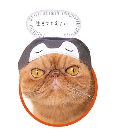 かわいい かわいい ねこのかぶりもの コウペンちゃん ラインナップ 3