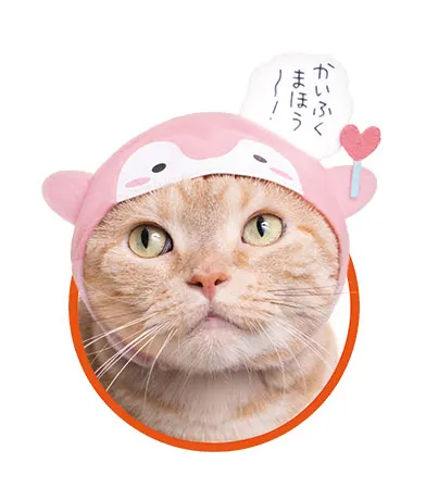 かわいい かわいい ねこのかぶりもの コウペンちゃん ラインナップ 4