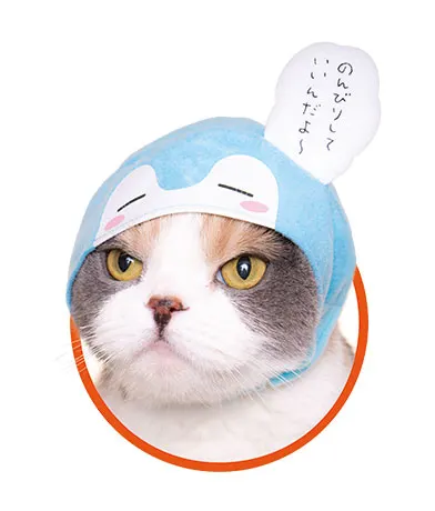 かわいい かわいい ねこのかぶりもの コウペンちゃん ラインナップ 5