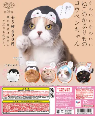 かわいい かわいい ねこのかぶりもの コウペンちゃんの画像