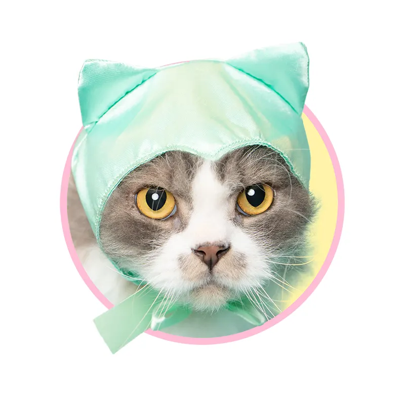 かわいい かわいい ねこみみちゃん レッド