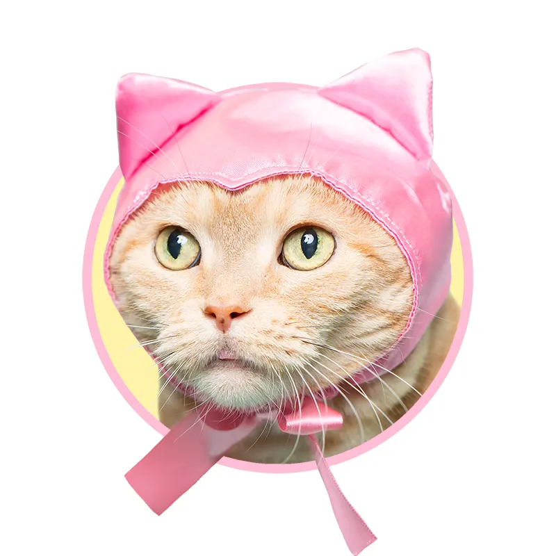かわいい かわいい ねこみみちゃん レッド
