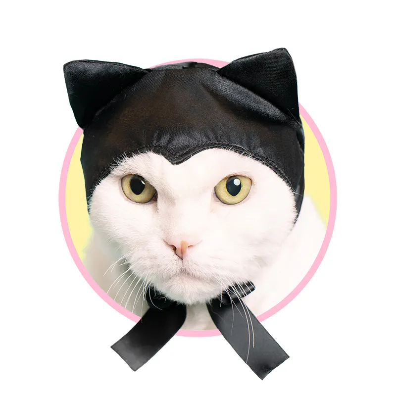 かわいい かわいい ねこみみちゃん レッド