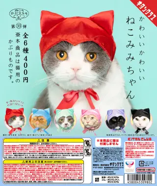 かわいい かわいい ねこみみちゃんの画像