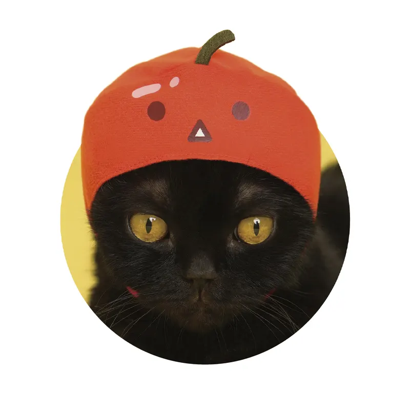 かわいい かわいい ねこのかぶりもの スイカゲーム スイカ