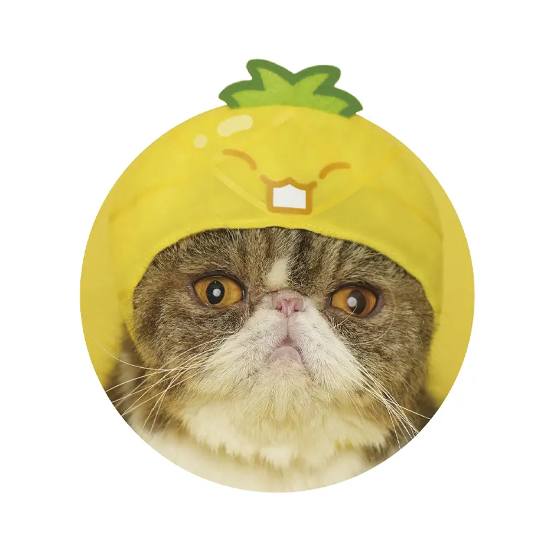 かわいい かわいい ねこのかぶりもの スイカゲーム メロン