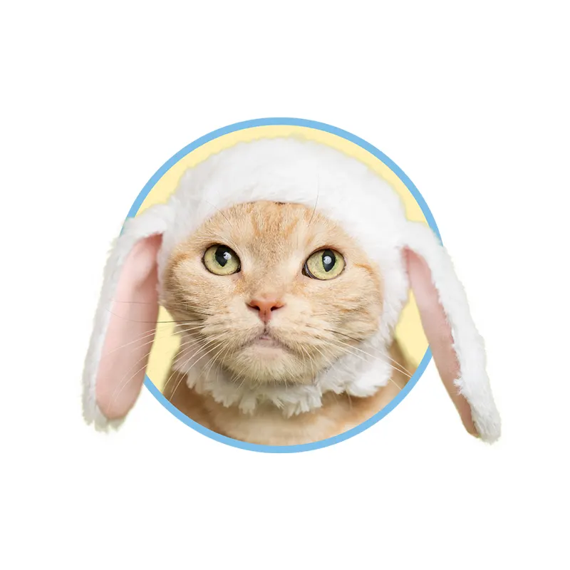 かわいい かわいい ねこうさぎちゃん たれみみ ラインナップ 2