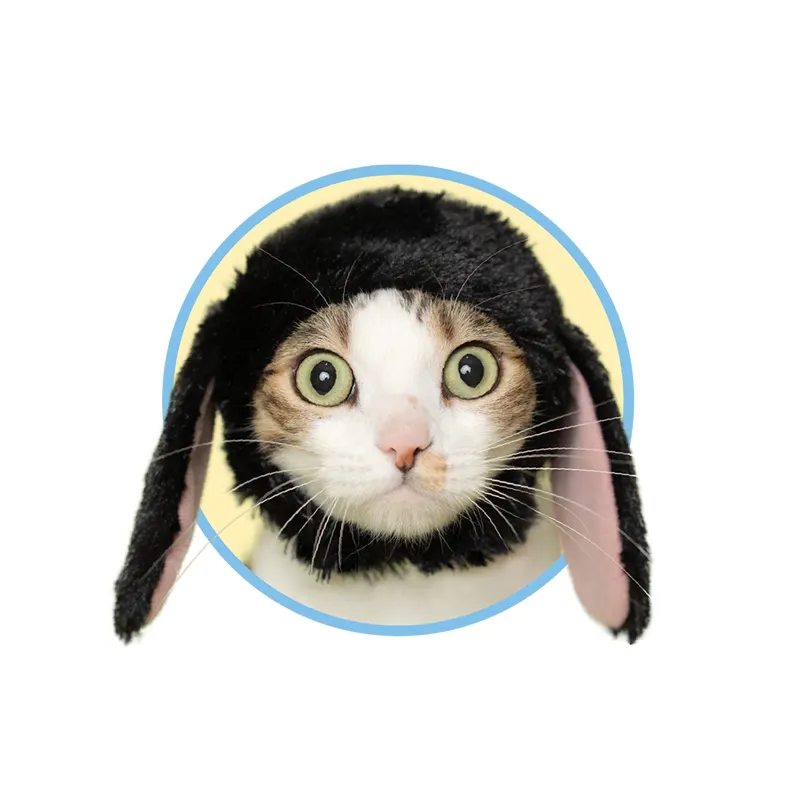 かわいい かわいい ねこうさぎちゃん たれみみ ラインナップ 3