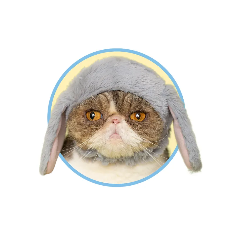 かわいい かわいい ねこうさぎちゃん たれみみ ラインナップ 4