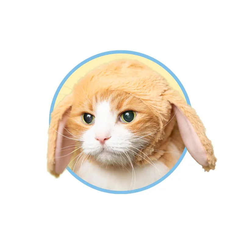 かわいい かわいい ねこうさぎちゃん たれみみ ラインナップ 5
