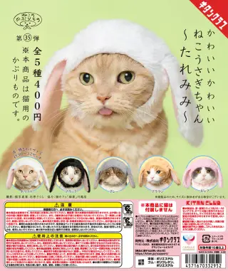 かわいい かわいい ねこうさぎちゃん たれみみの画像