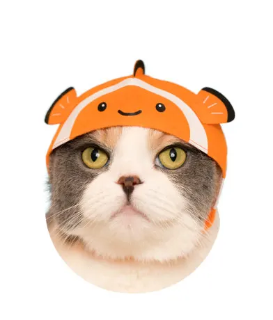 かわいい かわいい ねこの水族館 ラインナップ 2