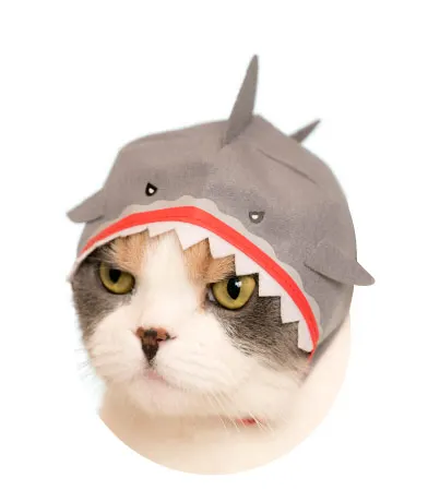 かわいい かわいい ねこの水族館 ラインナップ 5