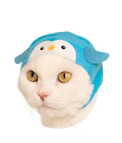 かわいい かわいい ねこの水族館 ラインナップ 7
