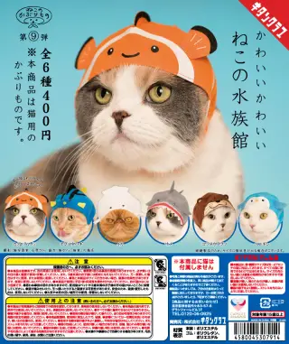 かわいい かわいい ねこの水族館の画像