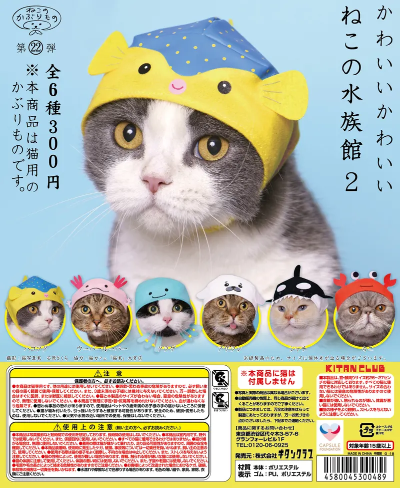 かわいい かわいい ねこの水族館2(画像)